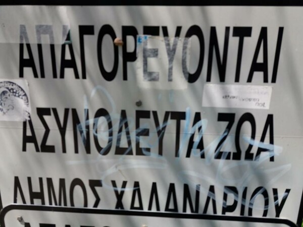 15 Μικροπράγματα που ΙΣΩΣ σου φτιάξουν τη διάθεση, σήμερα Παρασκευή