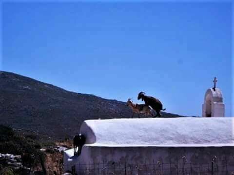 15 Μικροπράγματα που ΙΣΩΣ σου φτιάξουν τη διάθεση, σήμερα Τετάρτη