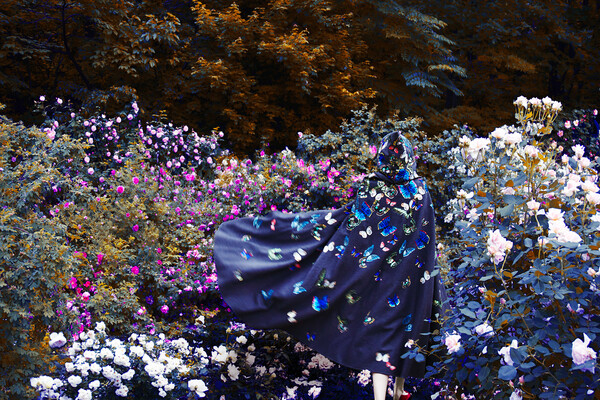 Erik Madigan Heck: Ένας οπαδός της γνήσιας ομορφιάς στους Sotheby's
