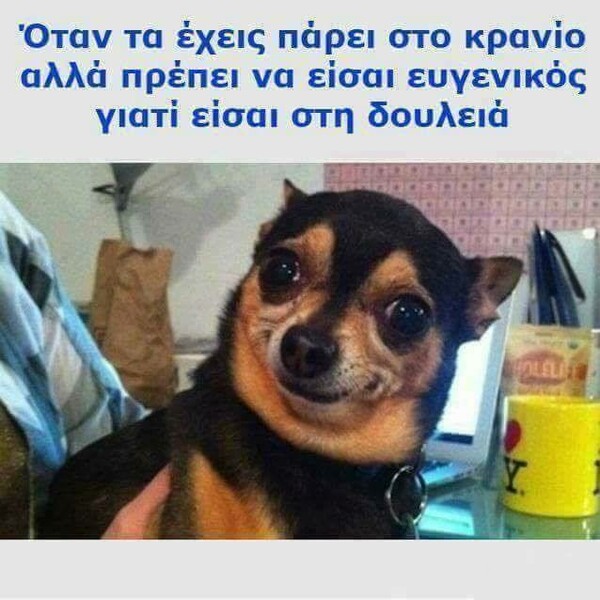 15 Μικροπράγματα που ΙΣΩΣ σου φτιάξουν τη διάθεση, σήμερα Πέμπτη