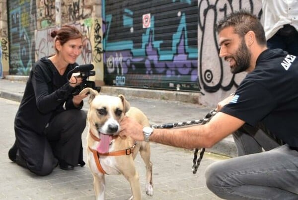 Το ντοκιμαντέρ για τα αδέσποτα σκυλιά στην Αθήνα της κρίσης