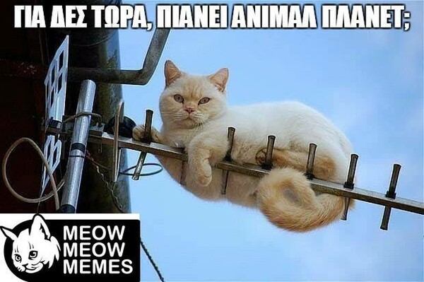 20 Μικροπράγματα που ΙΣΩΣ σου φτιάξουν τη διάθεση, σήμερα Τετάρτη