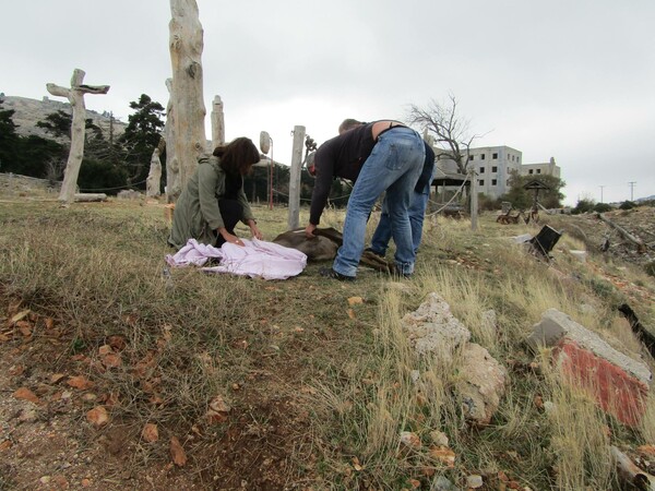 Πυροβόλησαν στο κεφάλι μαμά ελαφίνα στην Πάρνηθα - Πώς την έσωσε ο Αnima