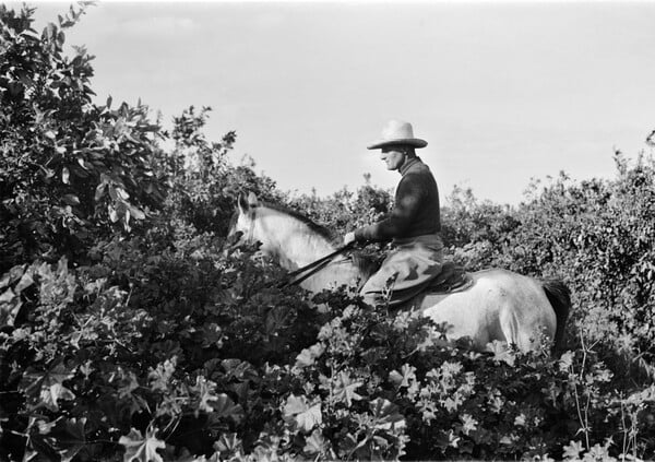 Ταξίδι στην Παλαιστίνη του 1936