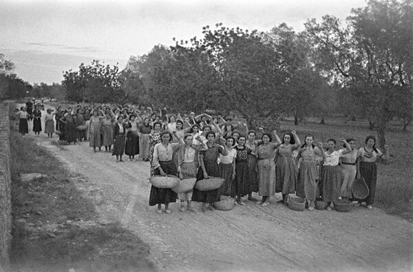 Perez de Rosas. Φωτογραφικό χρονικό της Βαρκελώνης (1931-1954).