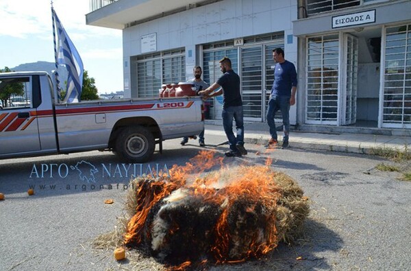 Αγροτο-κτηνοτρόφοι στην Αργολίδα πέταξαν ντομάτες, γάλατα και έκαψαν ζωοτροφές