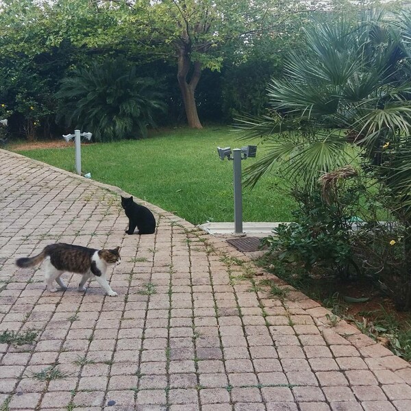 30 νέες φωτογραφίες απ' τα τέλεια ζώα των αναγνωστών μας
