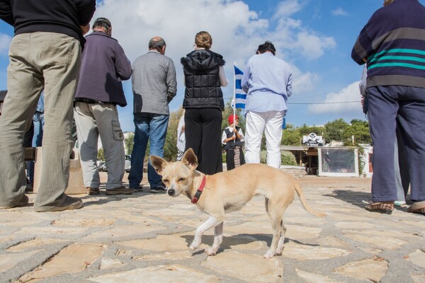 Η συγκινητική παρέλαση στους Αρκιούς - Ένας μαθητής, μια δασκάλα και η ελληνική σημαία