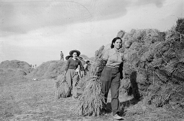 Perez de Rosas. Φωτογραφικό χρονικό της Βαρκελώνης (1931-1954).