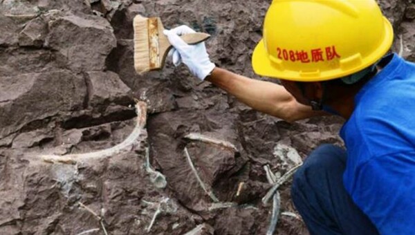 Kίνα: Ανακαλύφθηκαν απολιθωμένα αποτυπώματα δεινοσαύρων ηλικίας 100 εκατομμυρίων ετών