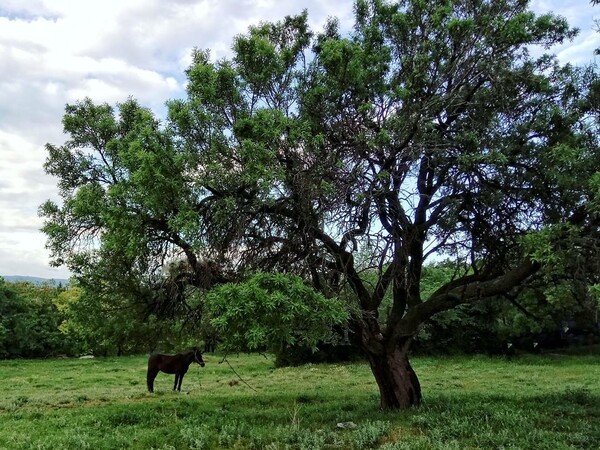 30 νέες φωτογραφίες απ' τα τέλεια ζώα των αναγνωστών μας