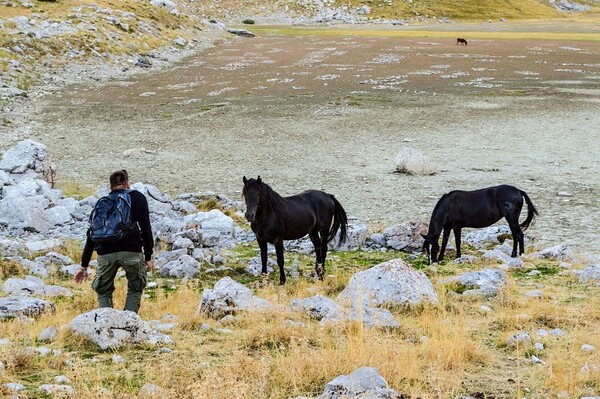 30 νέες φωτογραφίες απ' τα τέλεια ζώα των αναγνωστών μας