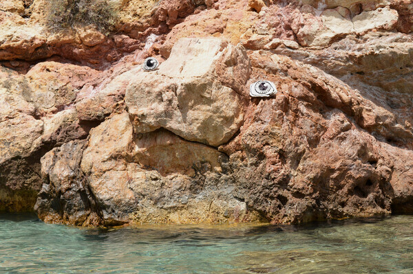 Tα Beach creatures του Πάρι Κούτσικου