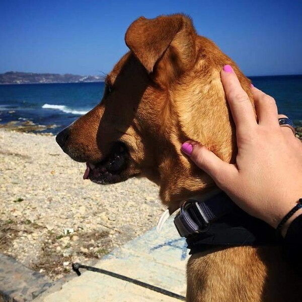 30 νέες φωτογραφίες απ' τα τέλεια ζώα των αναγνωστών μας