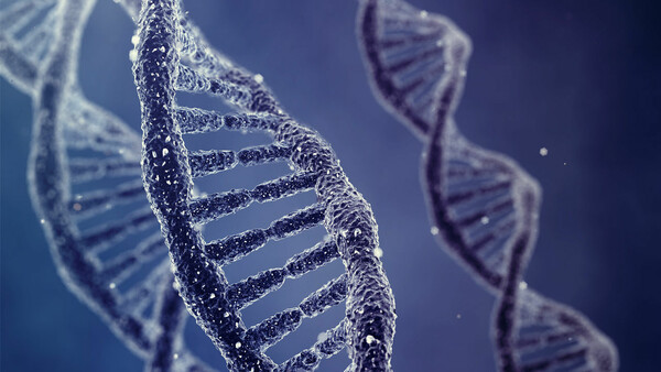 Βρέθηκαν τέσσερα γονίδια που συνδέονται με την ιδεοψυχαναγκαστική διαταραχή