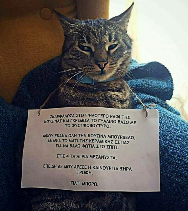 20 Μικροπράγματα που ΙΣΩΣ σου φτιάξουν τη διάθεση σήμερα Πέμπτη