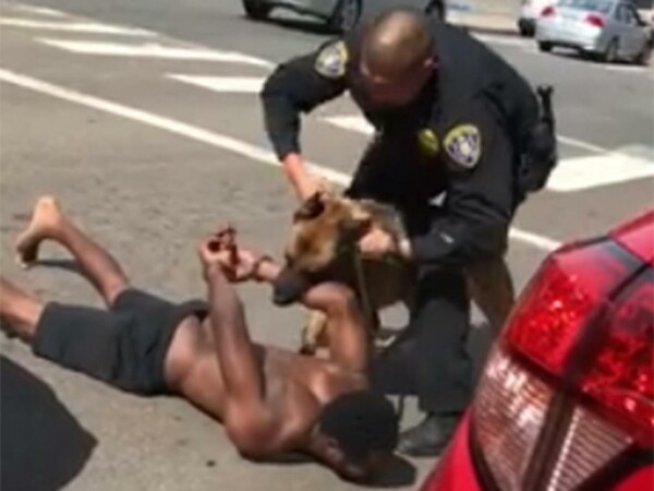 Σοκάρει το βίντεο με τον σκύλο αστυνομίας που δαγκώνει το χέρι άντρα ενώ τρεις αστυνομικοί παλεύουν να τον απομακρύνουν (ΣΚΛΗΡΕΣ ΕΙΚΟΝΕΣ)
