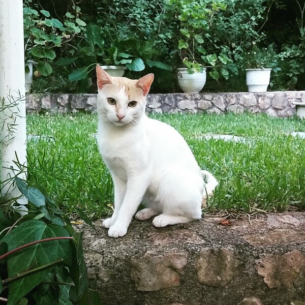 30 νέες φωτογραφίες απ' τα τέλεια ζώα των αναγνωστών μας