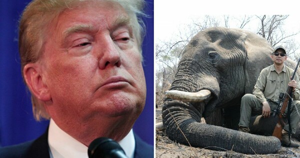 O Τραμπ βάφει τα χέρια του με αίμα ελεφάντων