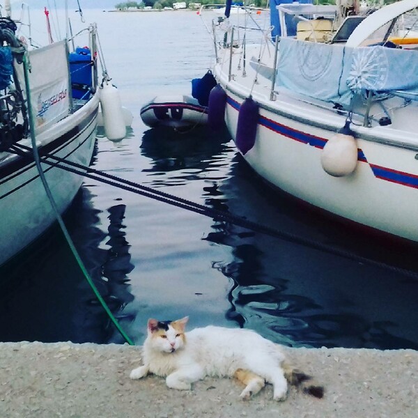 30 νέες φωτογραφίες απ' τα τέλεια ζώα των αναγνωστών μας