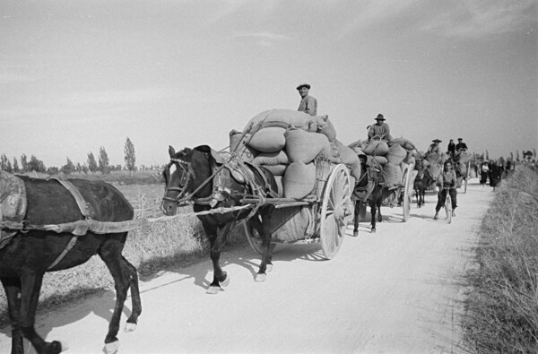 Perez de Rosas. Φωτογραφικό χρονικό της Βαρκελώνης (1931-1954).