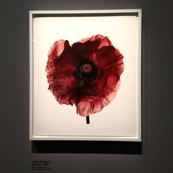 Irving Penn