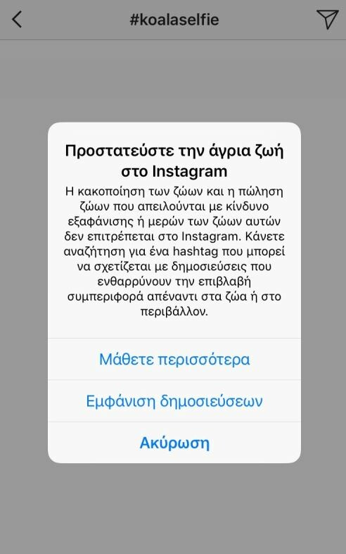 Πώς το Instagram προειδοποιεί τους χρήστες για όσους βγάζουν selfies με άγρια ζώα