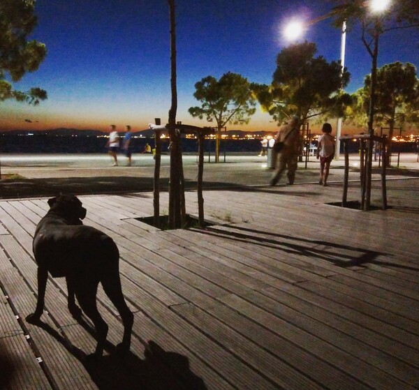 30 νέες φωτογραφίες απ' τα τέλεια ζώα των αναγνωστών μας