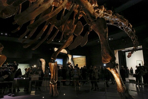Γνωρίστε τον Παταγοτιτάν: Τον μεγαλύτερο δεινόσαυρο (και ίσως το μεγαλύτερο ζώο) που περπάτησε ποτέ στη Γη