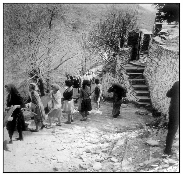 Η Μαγνησία μέσα από τον φακό του Δημήτρη Λέτσιου