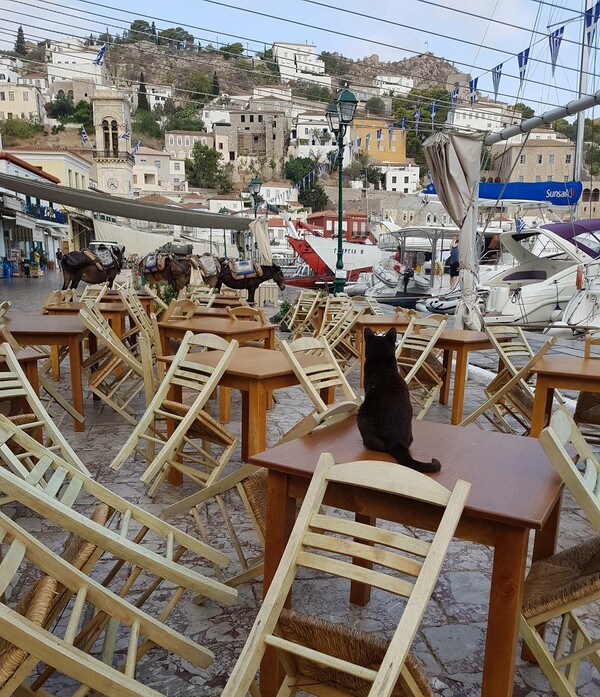 30 νέες φωτογραφίες απ' τα τέλεια ζώα των αναγνωστών μας