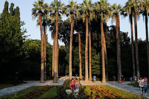 Summer in the City, Athens Edition