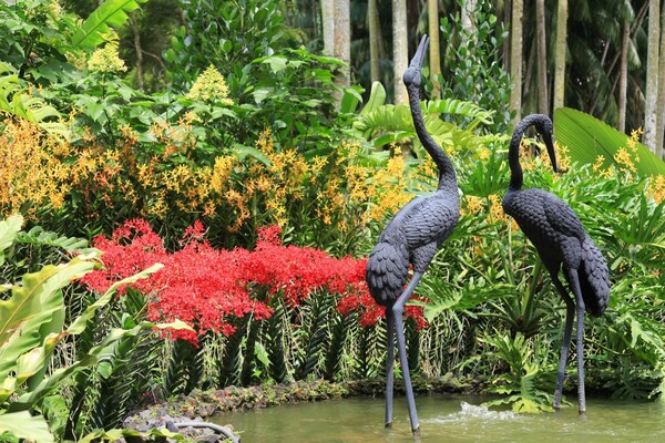 Σιγκαπούρη: Στον εθνικό κήπο όπου 200 διάσημοι έχουν τη δική τους ορχιδέα