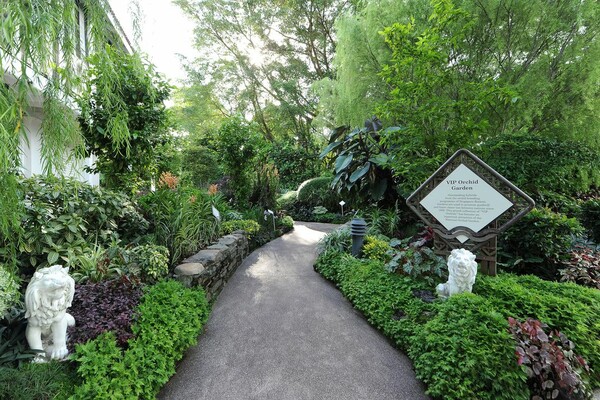 Σιγκαπούρη: Στον εθνικό κήπο όπου 200 διάσημοι έχουν τη δική τους ορχιδέα