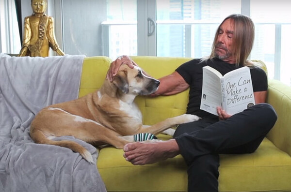 Iggy Pop και Nick Cave ενώνουν δυνάμεις στην νέα συγκινητική διαφήμιση της PETA