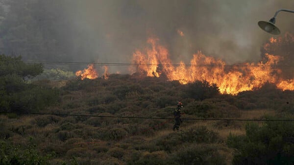 Nέα πυρκαγιά στη Μεσσηνία
