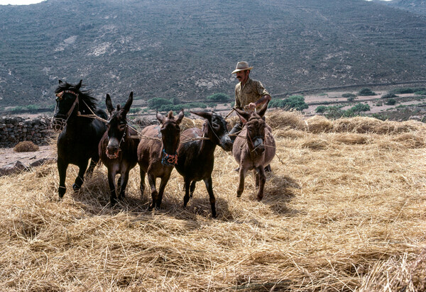 Η πανέμορφη Πάτμος του Robert McCabe