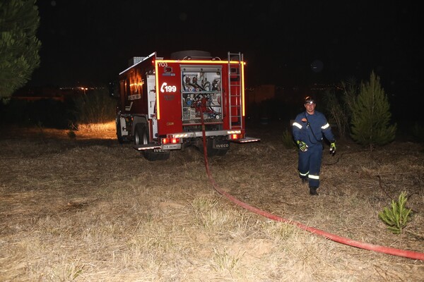 Εμπρησμό βλέπει πίσω από τη χθεσινή πυρκαγιά στο Άλσος Βεϊκου η Πυροσβεστική