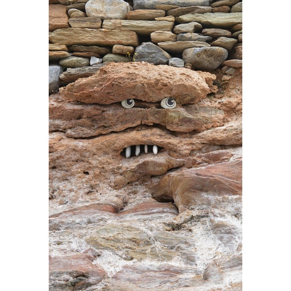 Tα Beach creatures του Πάρι Κούτσικου