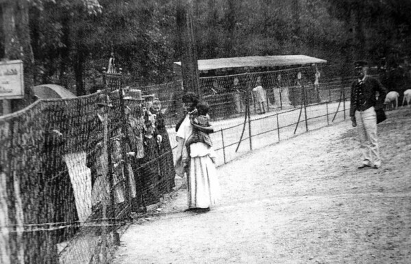 Human Zoos: Από την ανθρώπινη ζωοπανήγυρη στα ανθρώπινα σαφάρι