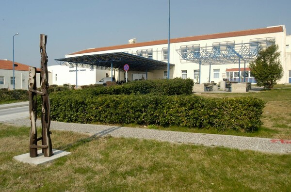 Πέθανε η γυναίκα που της είχαν επιτεθεί σκυλιά στην Ξάνθη