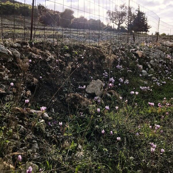 Στα μέρη που με πήγαινε ο πατέρας μου...