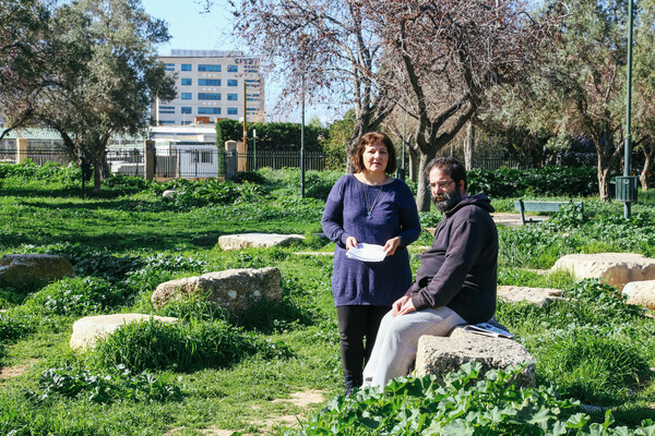 Ακαδημία Πλάτωνος ή Academy Gardens; Η πολυσυζητημένη κατασκευή του νέου mall εξακολουθεί να διχάζει