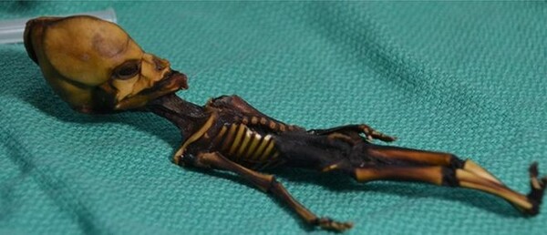 Λύθηκε το μυστήριο του «εξωγήινου» σκελετού από την έρημo της Χιλής