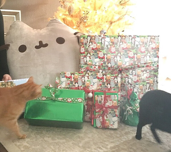 Ο Μπιλ Γκέιτς έγινε ο «Secret Santa» μιας γυναίκας στο Reddit που λατρεύει τις γάτες και τα δώρα ήταν επικά