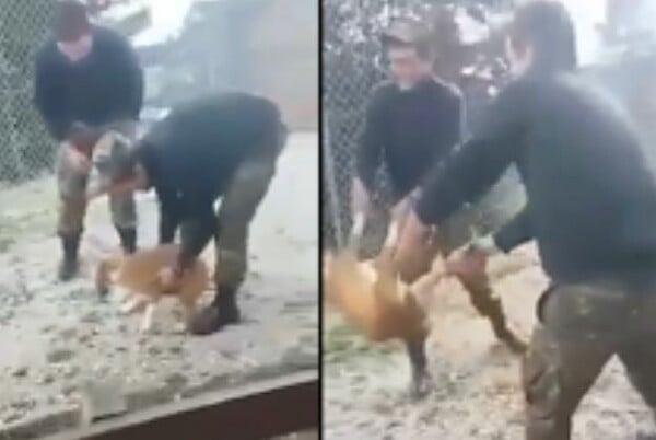 Πανελλήνια οργή για το βίντεο που δείχνει φαντάρους σε στρατόπεδο να ρίχνουν γελώντας σκύλο σε γκρεμό