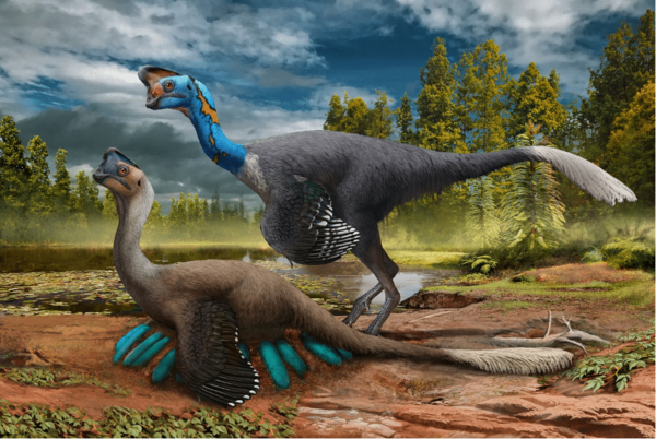 Researchers discover a dinosaur preserved sitting on a nest of eggs with fossilized embryos, a first