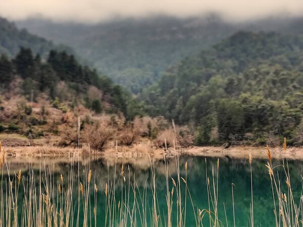 40 νέες φωτογραφίες των αναγνωστών μας, στο σημερινό INSTALIFO