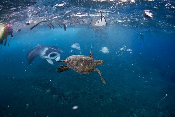 Όλοι μιλούν για το εξώφυλλο του National Geographic αλλά το πραγματικό σοκ είναι στις εικόνες μέσα