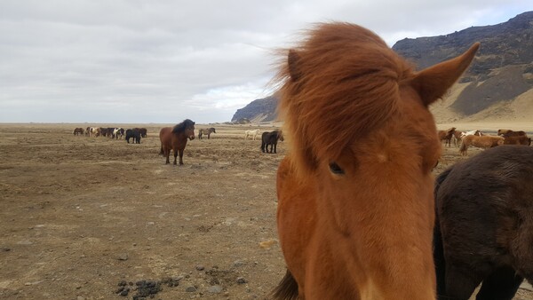 H άγρια ομορφιά της Ισλανδίας μέσα από τα μάτια ενός Έλληνα ταξιδιώτη